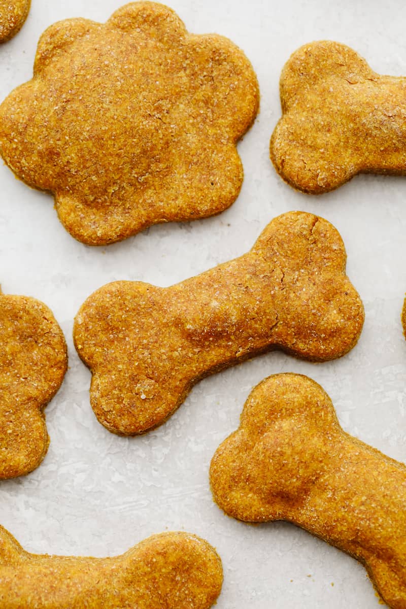 Volunteer Made Biscuits - Dog Treats- Events