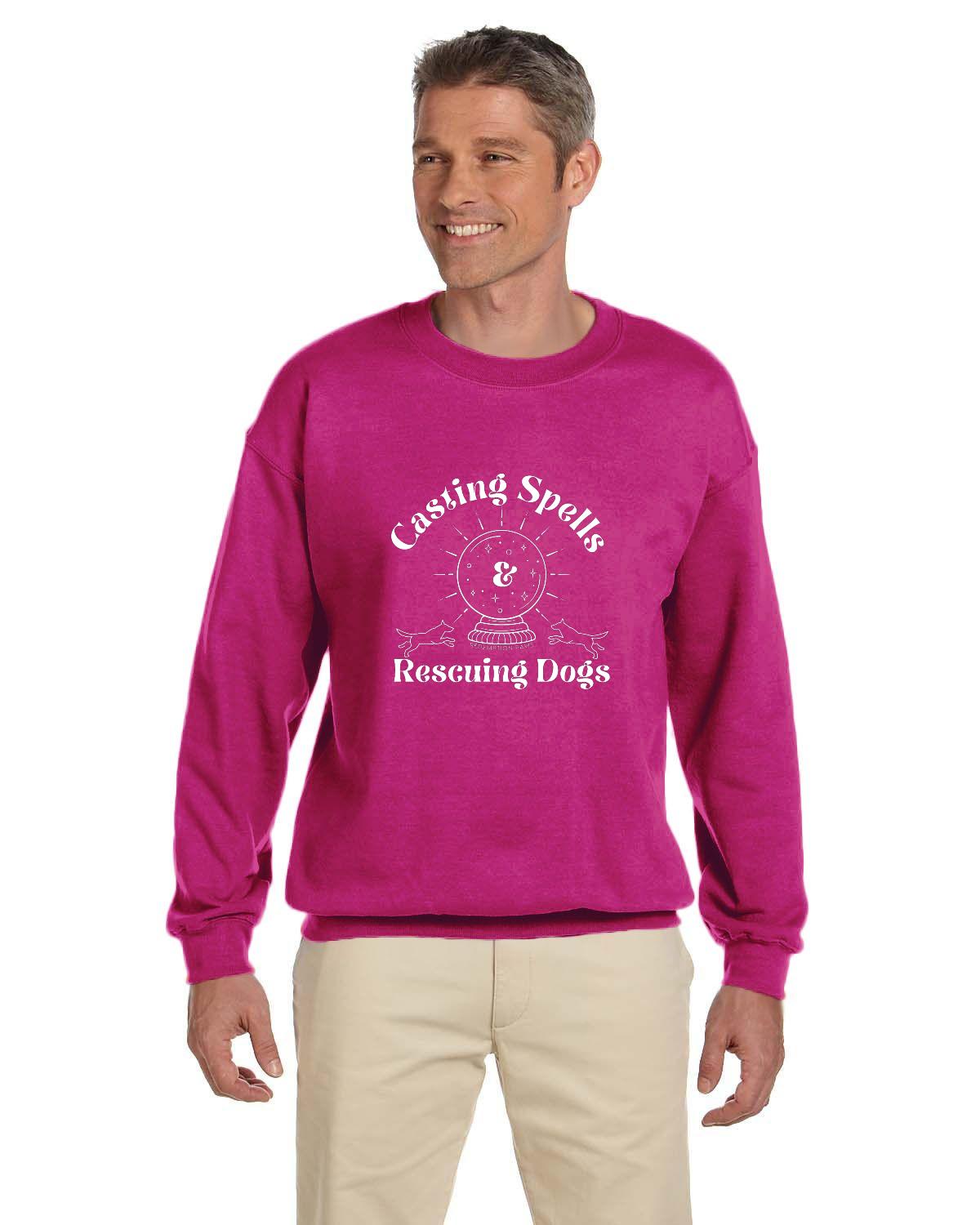 Casting Spells and Rescuing Dogs Crystal Ball Sweatshirt