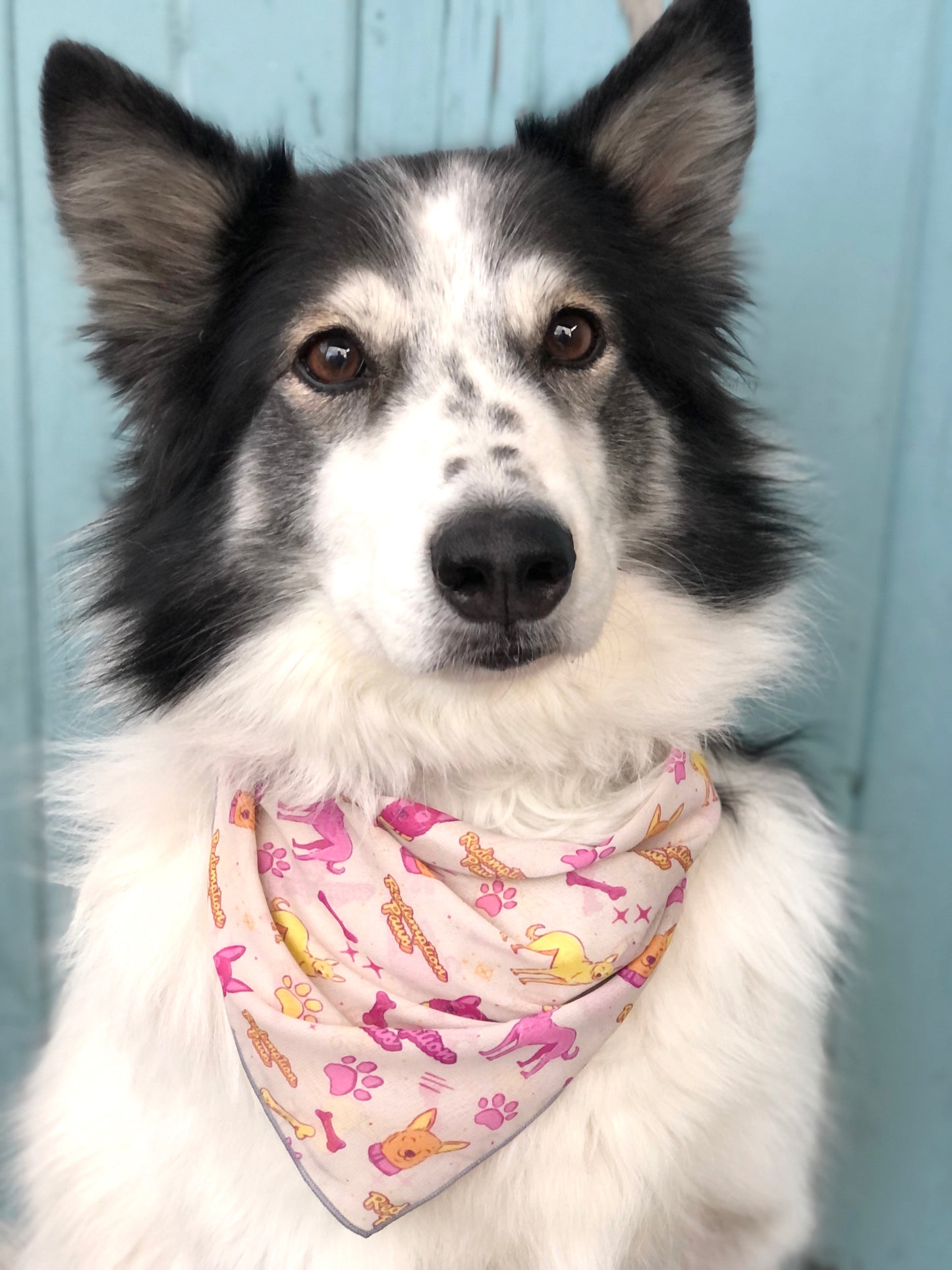 Scarf